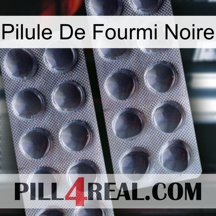 Black Ant Pill 31